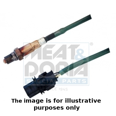 Oxygen Sensor